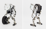 WS-05 Silver