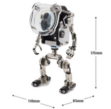 WS-05 Silver